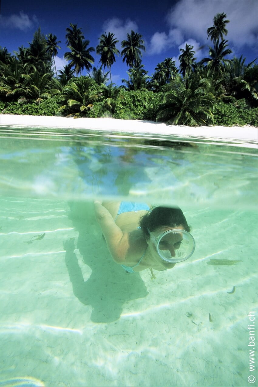 84. Aldabra beach swimmer, edit