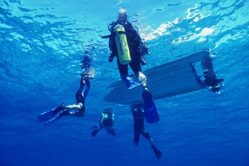 87.Scientists underwater