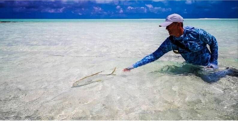 90. Releasing a fish in water